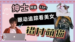 目不转睛LSP！！！让眼动追踪仪知道一下！什么叫追了个寂寞！   错付萌猫德彪西让你尝一尝化毛膏的滋味！！！！