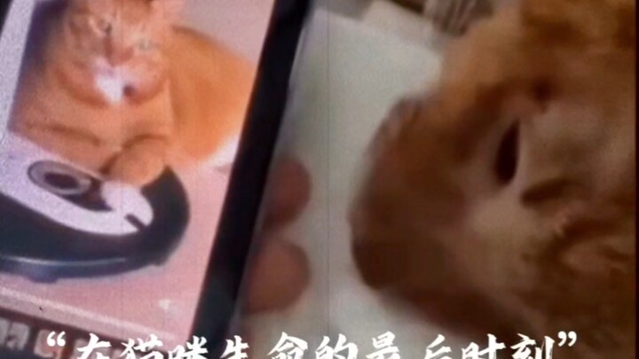 ความทรงจำแห่งรัก