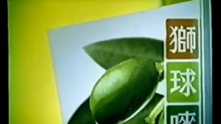 [香港經典廣告](2007)獅球嘜