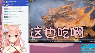 【Hiiro】猫猫再次看吃老鼠