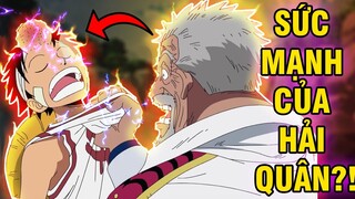 7 LẦN HẢI QUÂN HUỶ DIỆT HẢI TẶC | NHỮNG TRẬN CHIẾN THẮNG CỦA CÁC HẢI QUÂN TRONG ONE PIECE