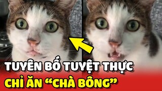 Chú mèo tuyên bố TUYỆT THỰC vì chỉ thích ăn CHÀ BÔNG 😂 | Yêu Lu