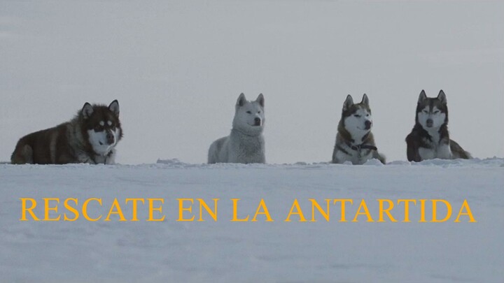 Rescate-en-la-Antartica.2006