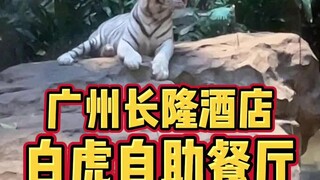 مطعم جوانزو الشعبي ذو الطابع الخاص: ما رأيك في بوفيه النمر الأبيض في فندق تشانغ لونغ؟