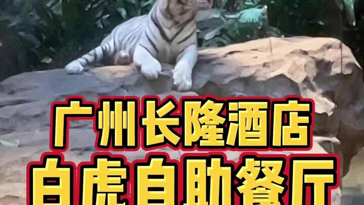 广州人气主题餐厅：长隆酒店的白虎自助餐，到底怎么样？