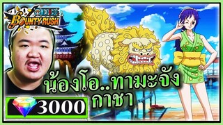 กาชาโอทามะและน้องหมาเกือบหมดคลิปดองแล้ว - ONE PIECE Bounty Rush 🐶