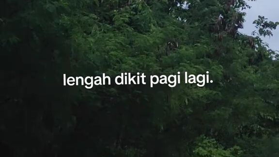 hohoh
