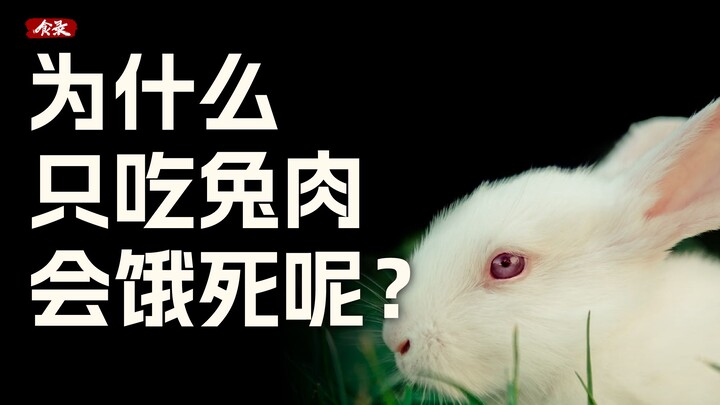 Tại sao ăn thịt thỏ lâu dài lại có thể “chết đói”? [Thực Lục]