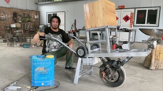 Homemade multifunctional electric farm cart