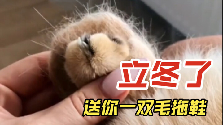 It’s the Beginning of Winter—here’s a pair of fluffy slippers for you!