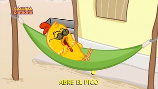 Mi Gallito - DVD - Gallina Pintadita 2