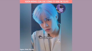Tổng hợp vườn bông của các công ty giải trí hàng đầu Trung Quốc(P2)