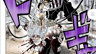 Demon Slayer: The Second Highest Fighter of the Nine Pillars, the MVP of the Final Battle - Snake Pi