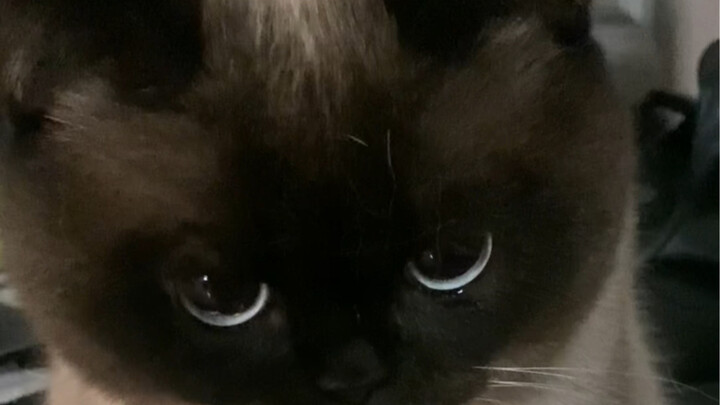 Có người hỏi tôi sao cứ quay anh ấy ở tư thế này hoài