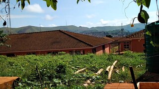 Cuộc sống châu phi__ Angola chống dịch lạ kỳ__ Điều kỳ lạ ở châu phi