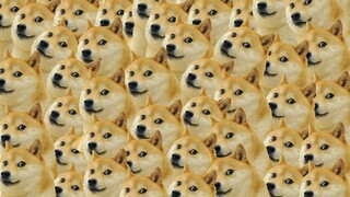 The 520 gift is a girl curled up quietly in a box?! Snail Shell 1/7 painted finished figure - Box Gi