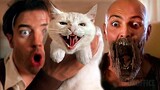 A cat scares the Mummy!