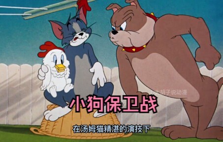你见过在洗衣机里洗的最奇葩的东西是什么？