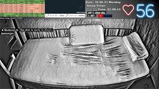 Sleep Stream 30.06.2025