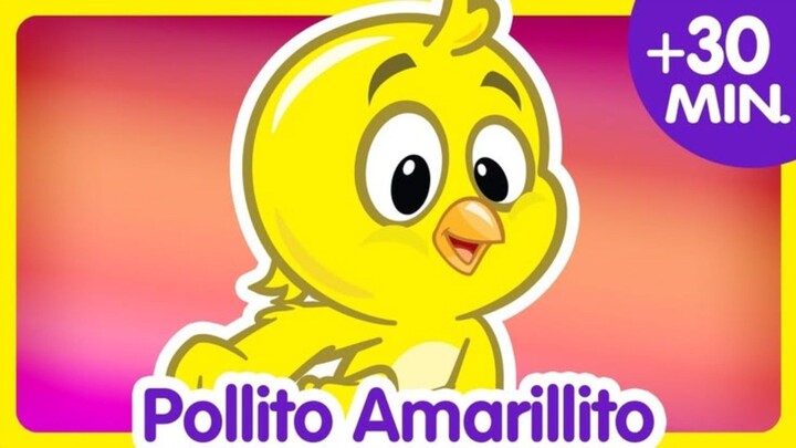 pollito amarillito + compilado de 30 minutos aganchados - canciones infantiles de gallina pintadita
