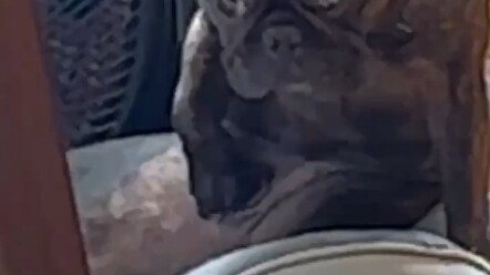 Should we give him some private space?