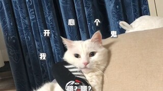 胡叔叔被撵走晾衣服，只剩大咪任凭姜阿姨摆布
