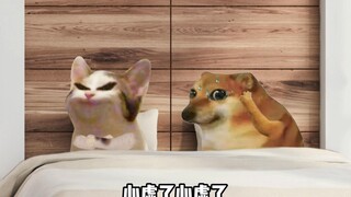 男人和女人每天脑子里都在想什么