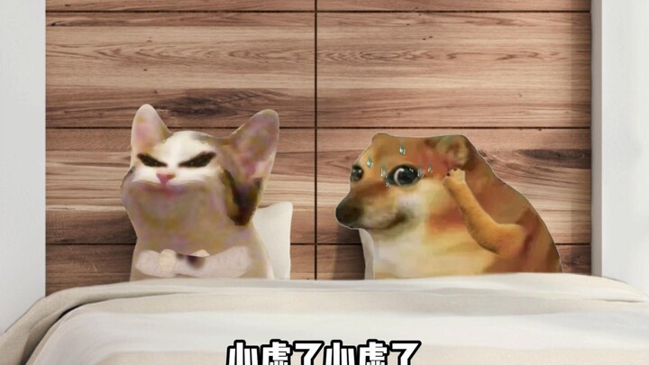 Đàn ông và phụ nữ nghĩ gì mỗi ngày?