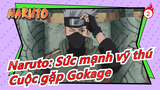 [Naruto: Sức mạnh vỹ thú] [Cảnh cắt Kakashi] Cuộc gặp Gokage (10) Kakashi sẽ đến_B