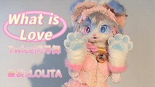 【What is Love】今天也兽化失败了呢（夏天晚一点来球球了