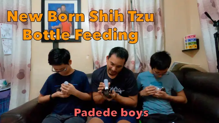 SHIH TZU BOTTLE FEEDING 1 week babies