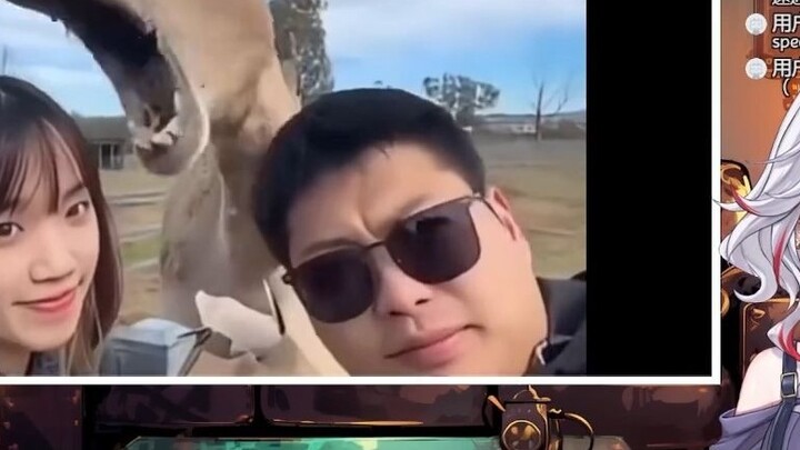 Cô gái Nhật Bản tự nhiên xem "Giải thưởng Hành vi Vô đạo đức của Động vật" và sợ hãi