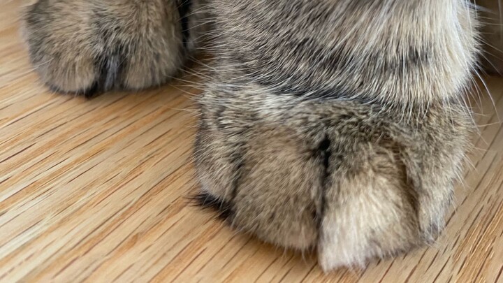 Vụ việc tiêu chuẩn kép bắt nguồn từ một đôi bàn tay