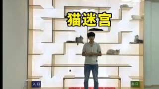 我给猫咪们做了个立体猫迷宫