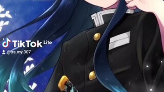 kimetsu no Yaiba trùng trụ kocho shinobu và Hà trụ tokitou muichiro