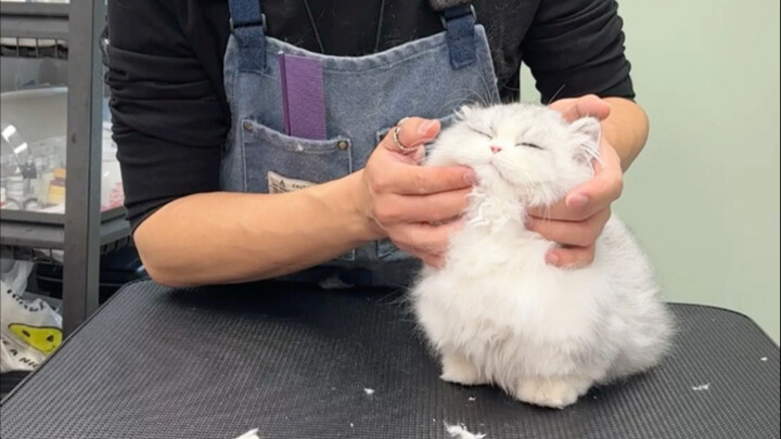 الشعور فور الخروج من المصنع مختلف تمامًا!