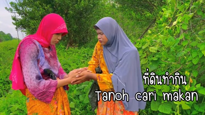 ที่ดินทำกิน Tanoh cari makan