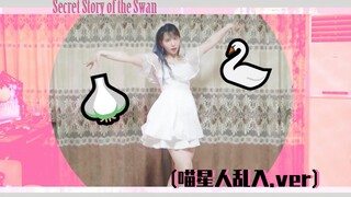 【Q酱菌】IZ*ONE-Secret Story of the Swan 猫咪乱入蒜蒜蒜>3<