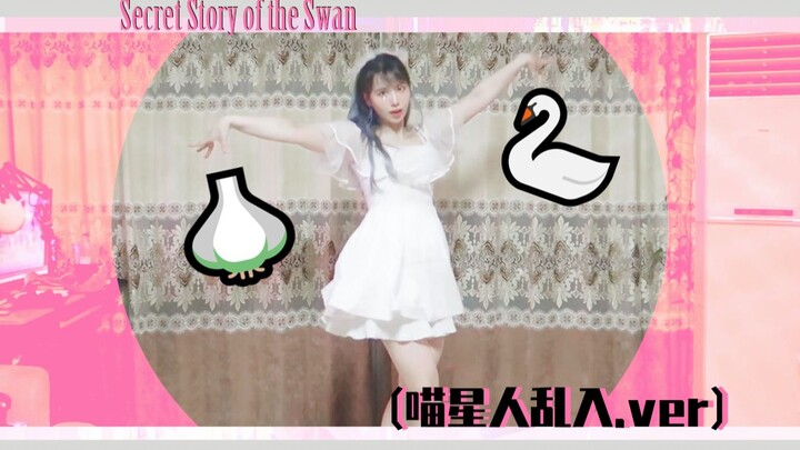 【Q酱菌】IZ*ONE-Secret Story of the Swan 猫咪乱入蒜蒜蒜>3<