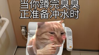 When you've finished squatting and are just about to flush the toilet