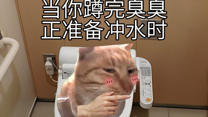 When you've finished squatting and are just about to flush the toilet