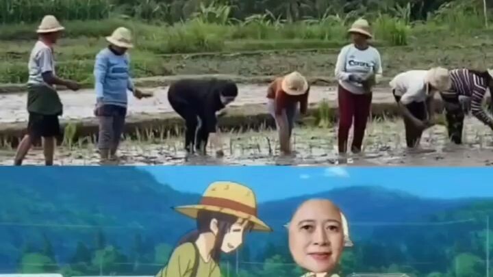 video ini bukan pinggir jurang lagi tapi pinggir jeruji 🗿