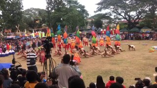 Festival Dance