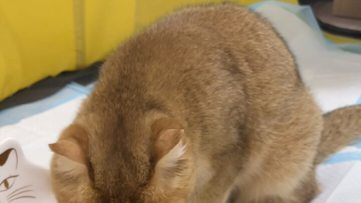 ต้องดีกันทุกคนนะ!