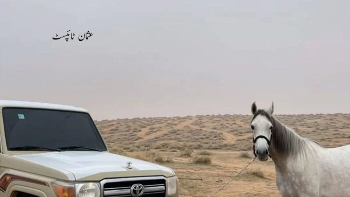 Deep Lines💔