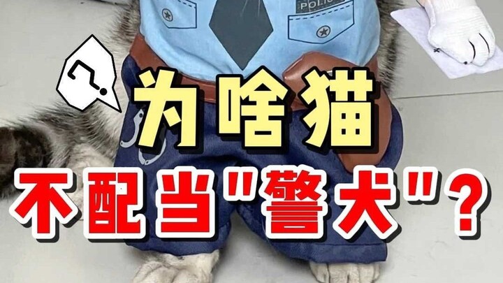 Chắc đây là lý do chỉ có chó cảnh sát mà không có mèo cảnh sát...