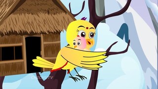 Chidiya Wala Cartoon _ Rano Chidiya Wala Hindi Cartoon_New Epsiode Kalo Kauwa Au