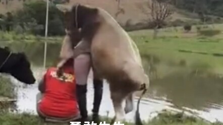 บูลลี่ผู้กล้าไม่กลัวอุปสรรค