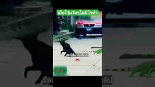 เบื่อโว้ยวันๆไม่มีไรทำ