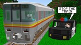 WHY DID NOOB STEAL THE TRAIN? POLICE PURSUIT OF A NOOB ON A TRAIN in Minecraft! Noob vs Pro